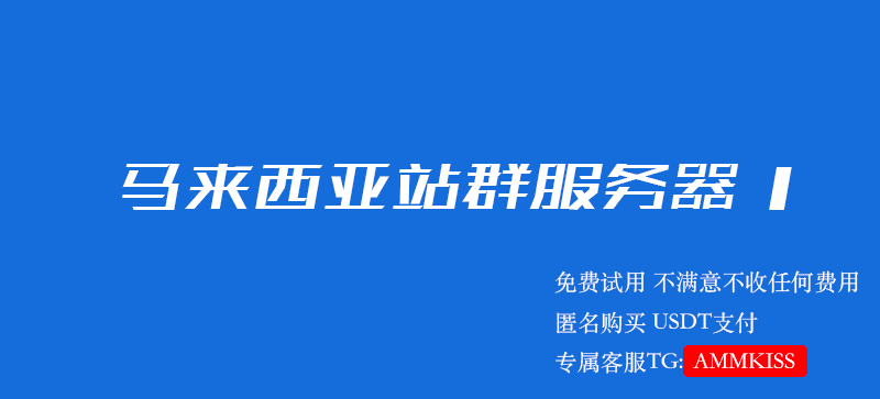 马来西亚站群服务器 1