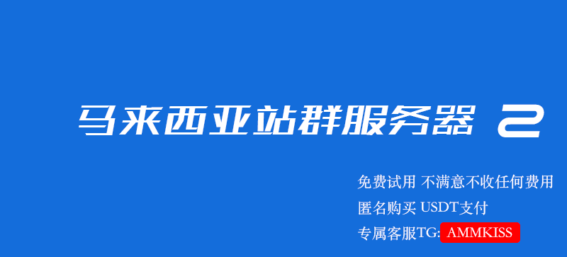 马来西亚站群服务器 2