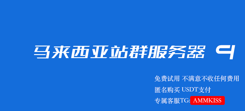 马来西亚站群服务器 4