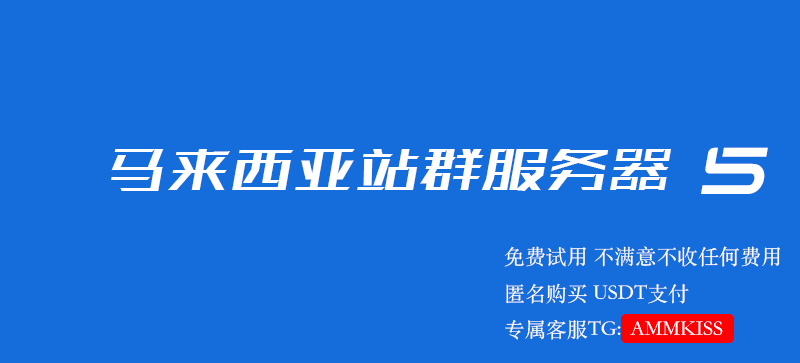 马来西亚站群服务器  5